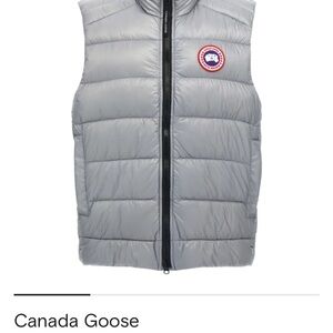 Canada Goose Silver crofton puffer